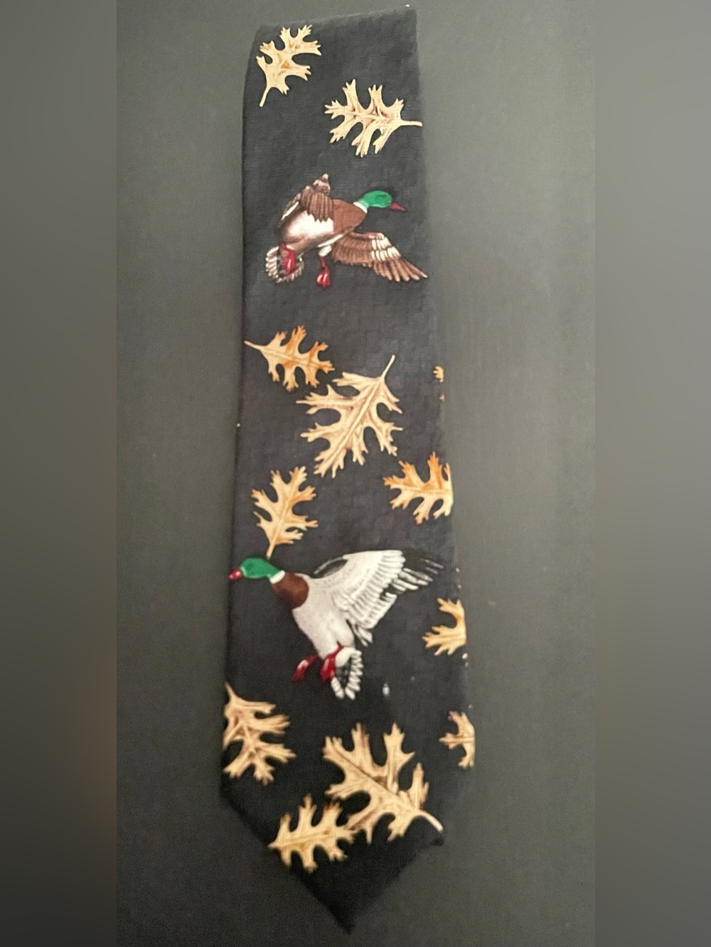 Men’s Reed St. James Fall Duck Print Necktie